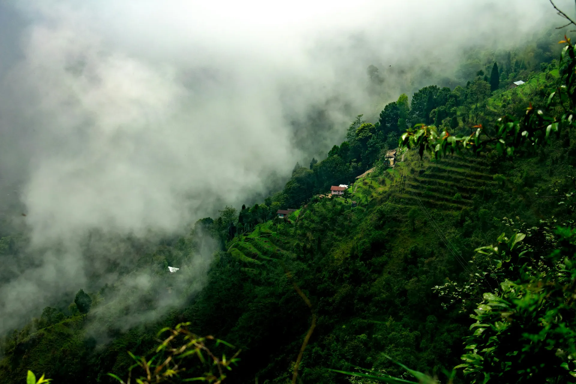 Hill Station , Darjeeling