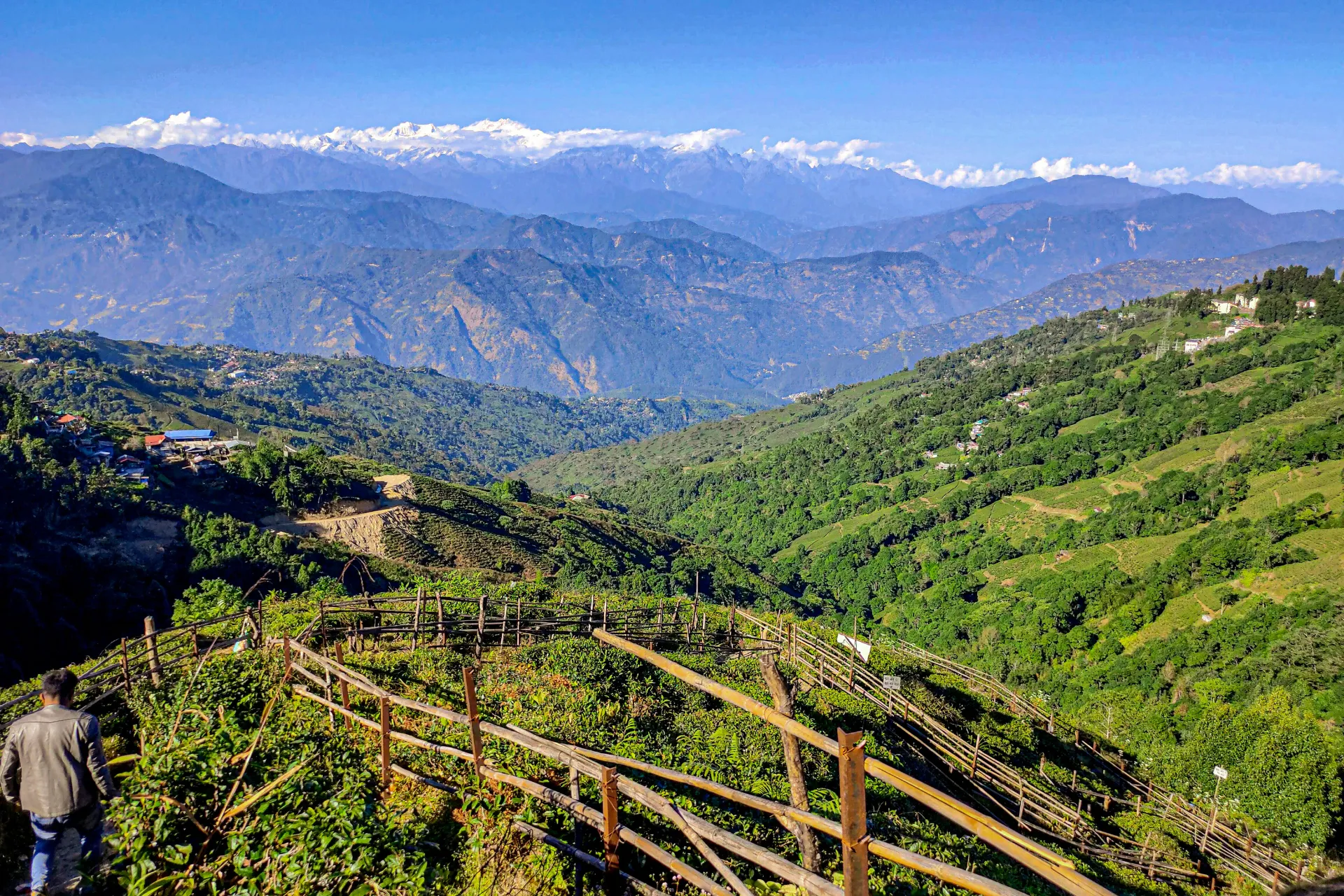 Hill Station , Darjeeling