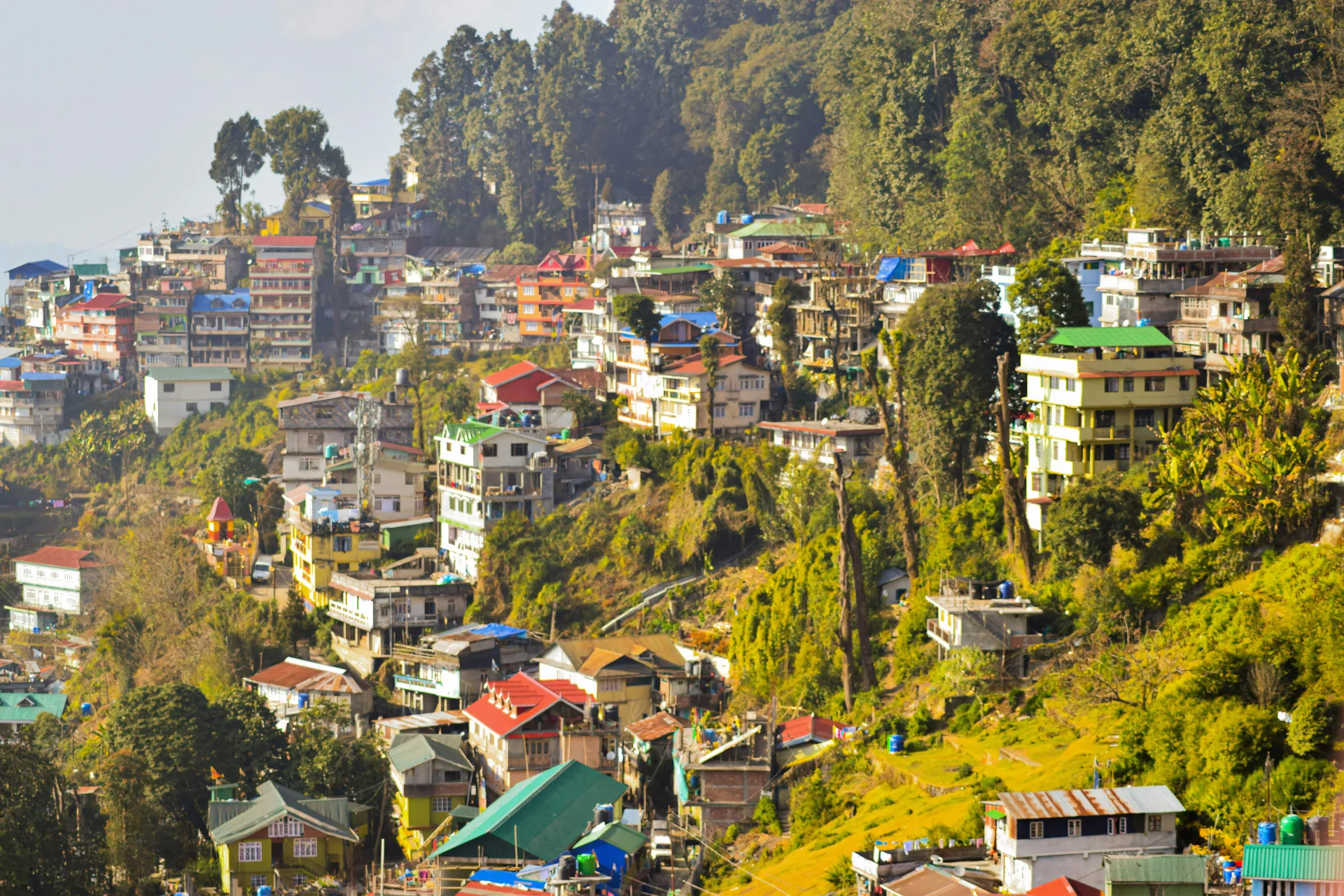 Hill Station , Darjeeling