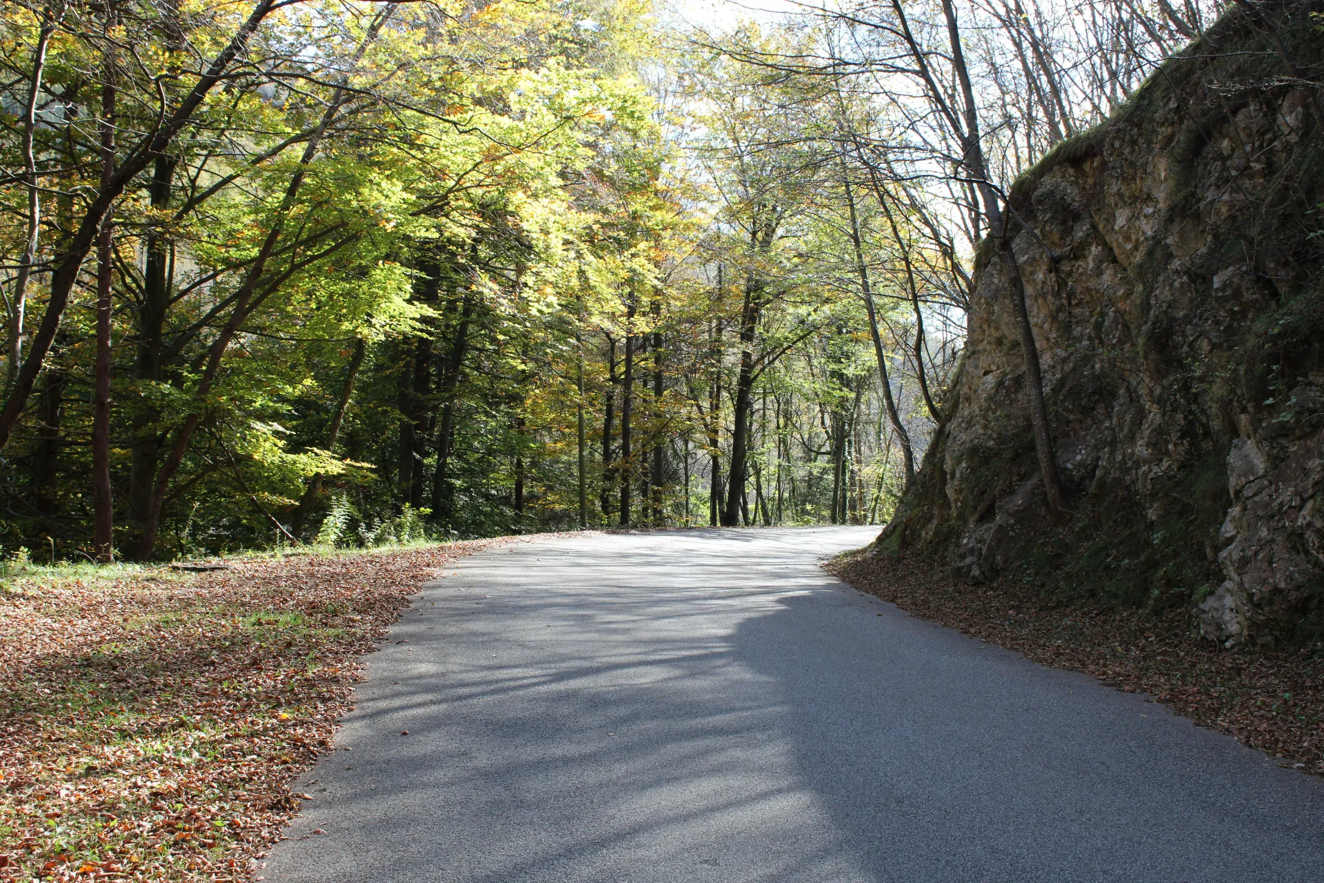 Cycle Adventure
