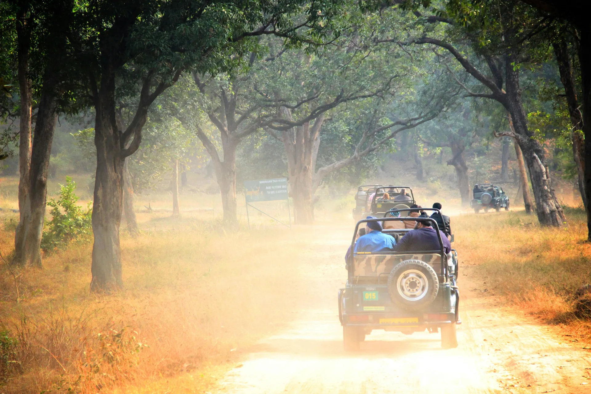 Wild life, Bandhavgarh