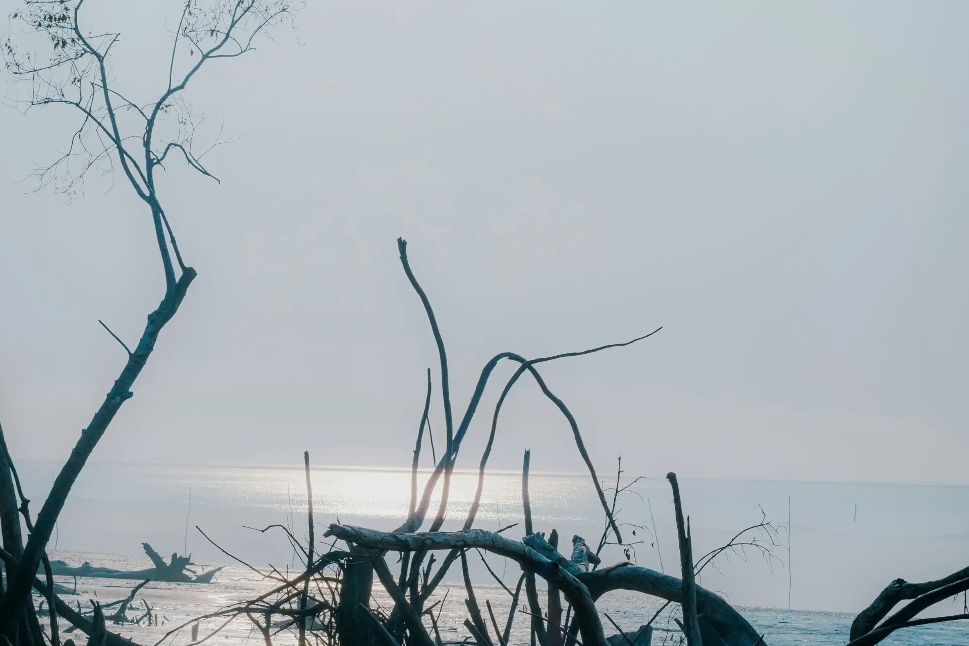 Sundarbans National Park