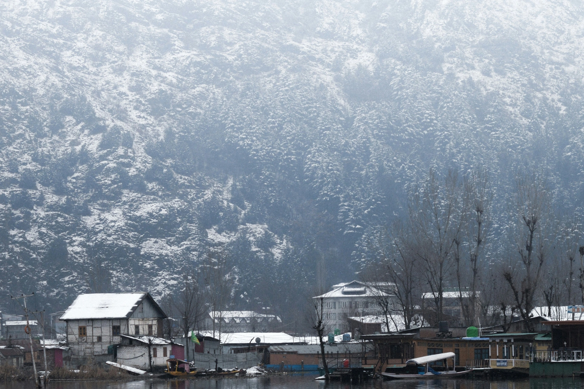 Kashmir
