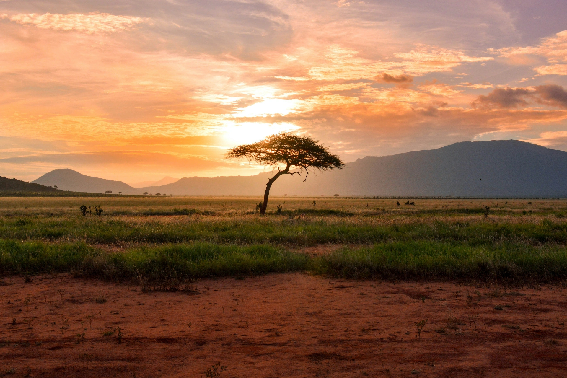 Safari Expeditions