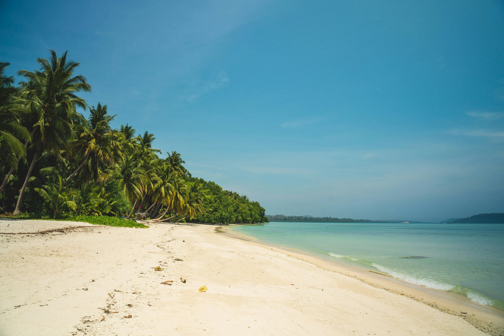 Andaman Beach Tours