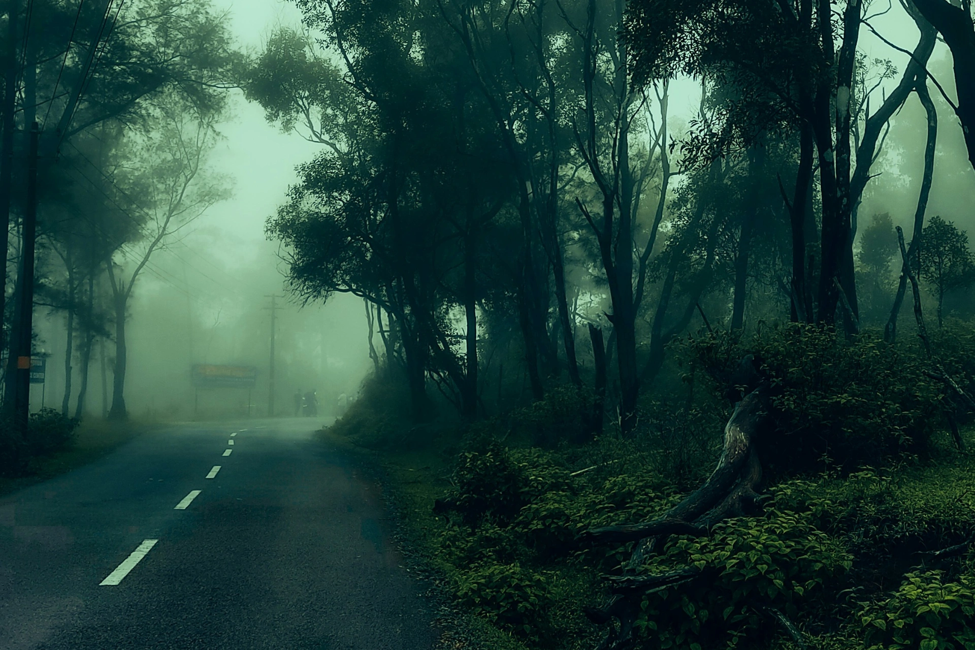 Ponmudi aur Agasthyakoodam.