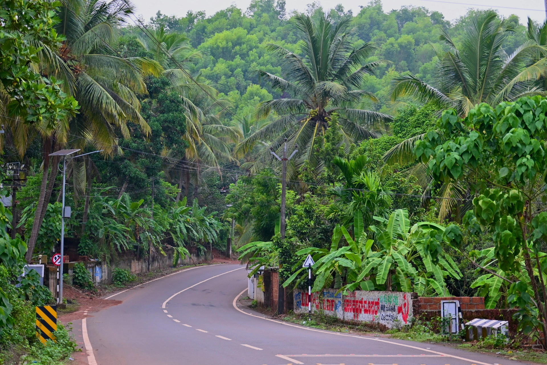 Kerala Hils